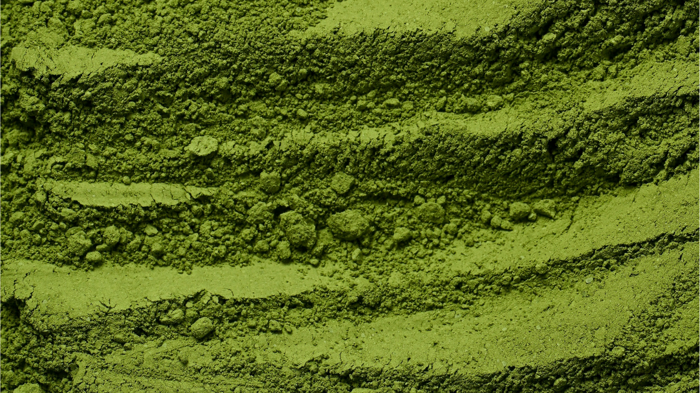 Poudre de matcha vert japonais en gros plan