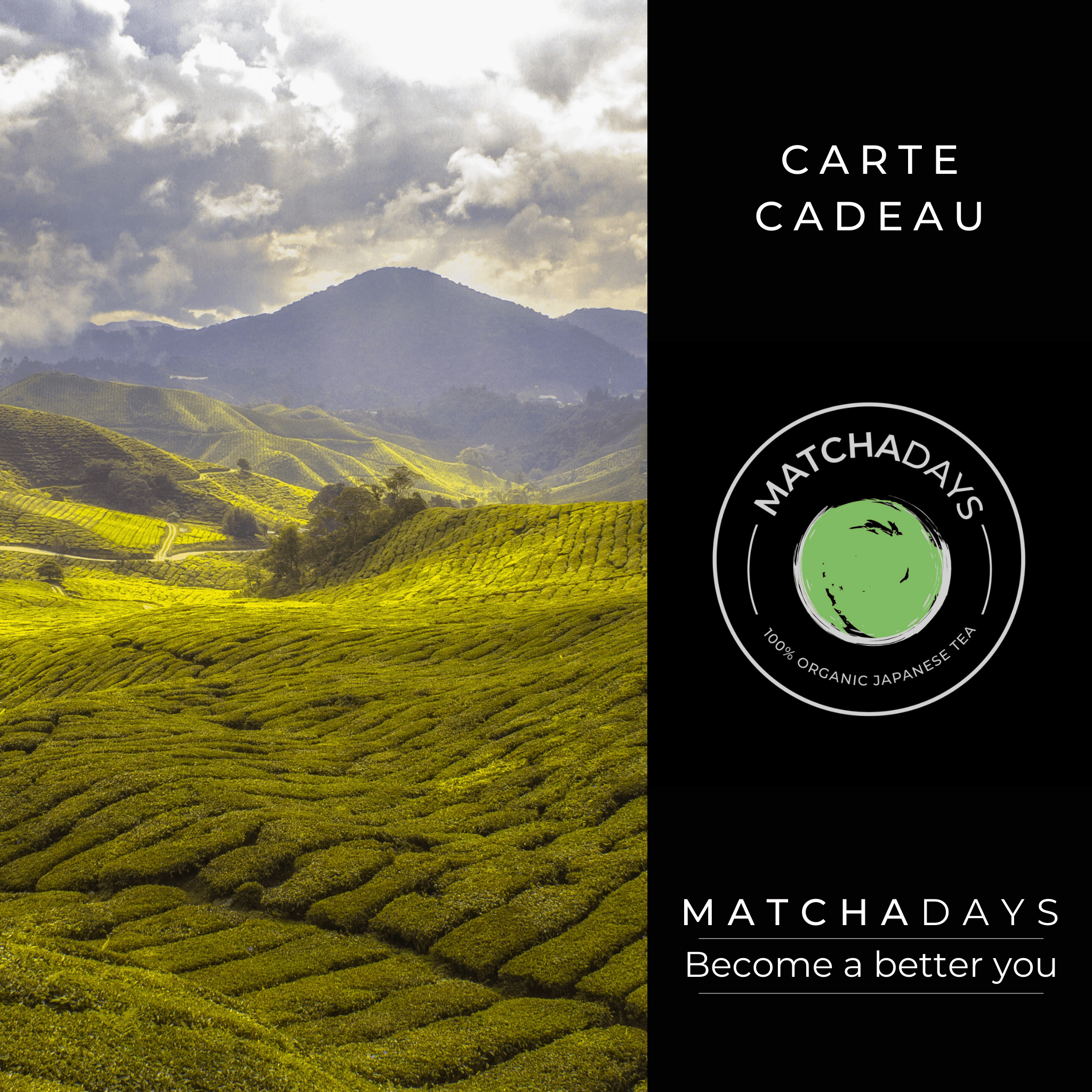 Bild der Geschenkkarte von MatchaDays. Foto von Matcha-Feldern mit Bergen im Hintergrund. Auf der rechten Seite der Karte das MatchaDays-Logo und der Slogan "MatchaDays, Becoma a Better you". 